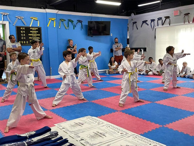 Taekwondo vs Karate